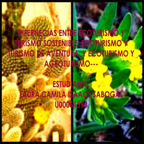 Diferencias Ecoturismo 1