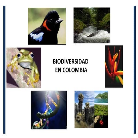 BIODIVERSIDAD EN COLOMBIA