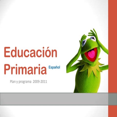 Educación primaria