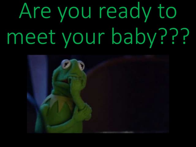 Eggsperiment point breakdown