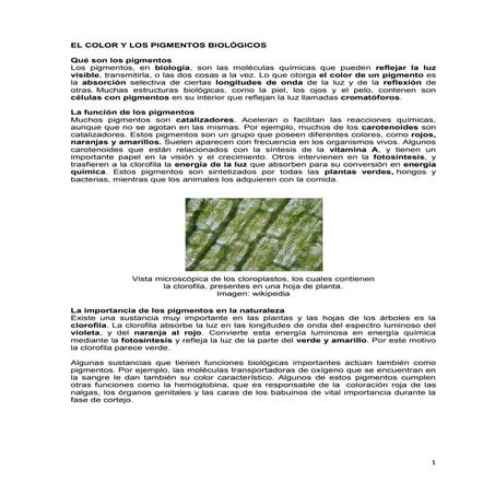 El color y los pigmentos biológicos