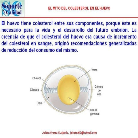 El mito del colesterol en el huevo
