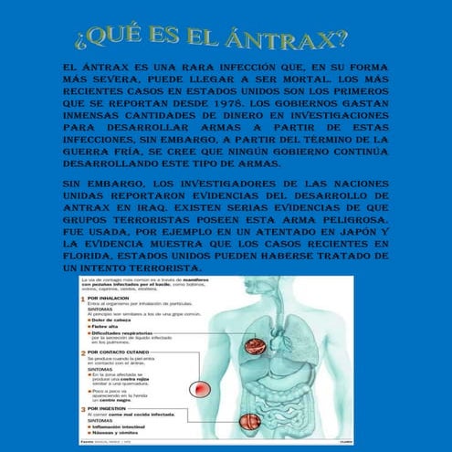El ántrax es una rara infección que