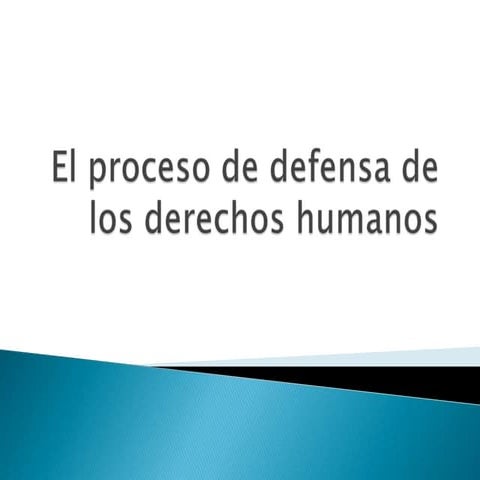 El proceso de defensa de los derechos humanos