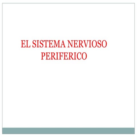 El sistema nervioso periferico