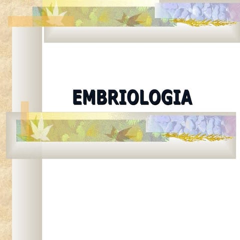 Embriogenese