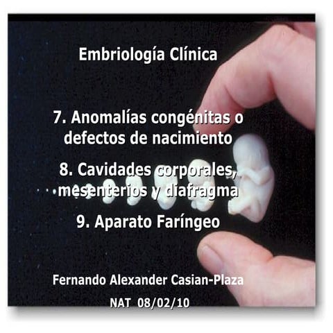 Embriologiaclinica 1mes-100301214748-phpapp02