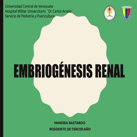se presenta la embriologia renal a traves del tiempo