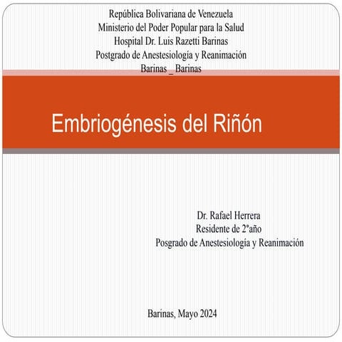 Embriologia Renal ppt ....................