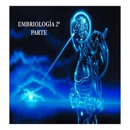 Embriologiia 4 a 8 semanas