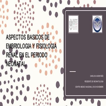 Embrio y fisio renal neonato POR DR. CARLOS M. MONTAÑO PEDIATRA LA PAZ
