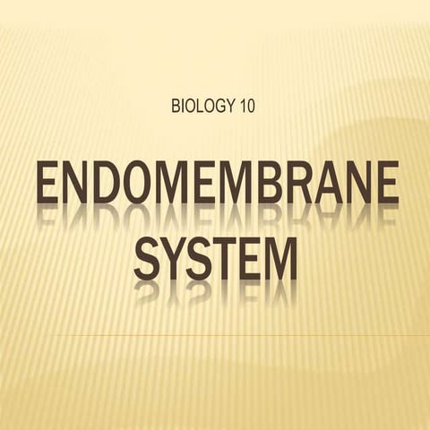 Endomembrane system (from Biology 8th edition by Campbell et al.)