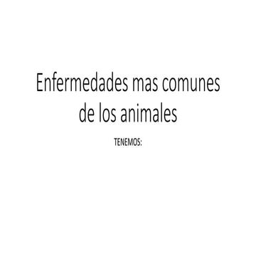 Enfermedad animal