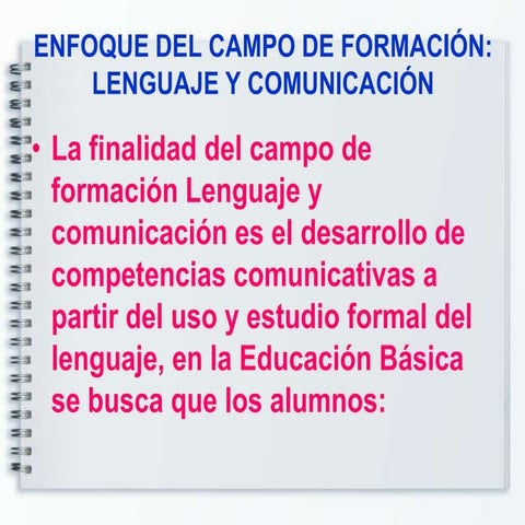 Enfoque del campo de formación