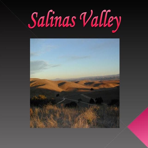 English   Mice And Men