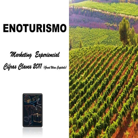 Enoturismo y marketing experiencial