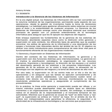 Ensayo Introducción Sistemas de Información