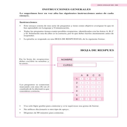 Ensayo lenguaje Simce nº2