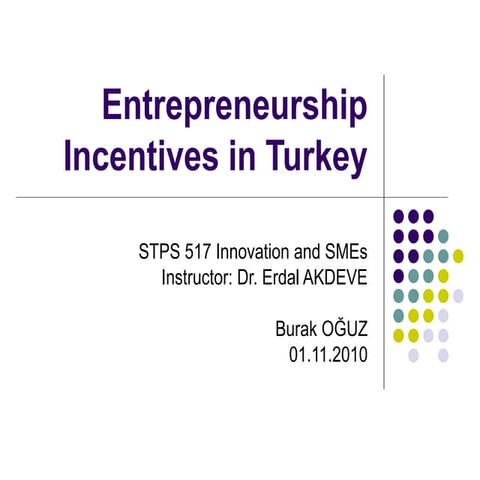 Entrepreneurship incentives