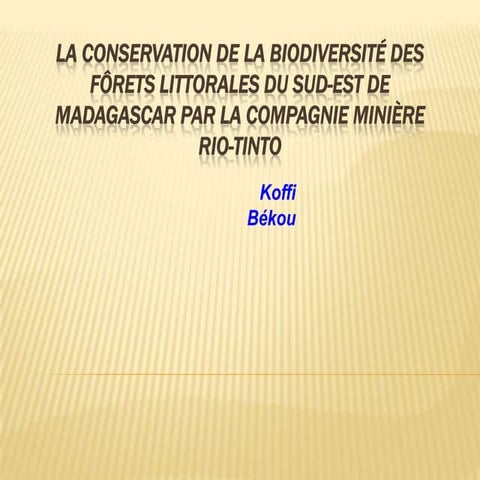 Biodiversté Madagascar