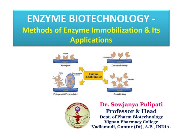 Enzyme immobilization