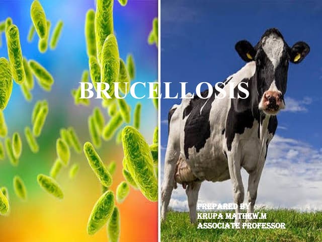 Epidemiology of BRUCELLOSIS.pptx.................
