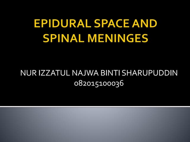 Epidural space and spinal meninges