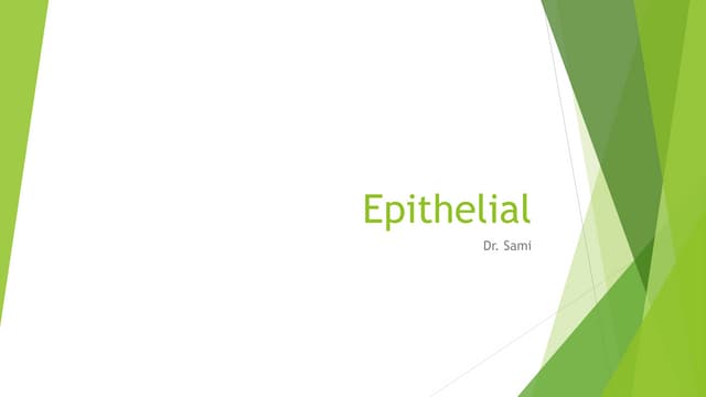 Epithelial. by Dr Sami