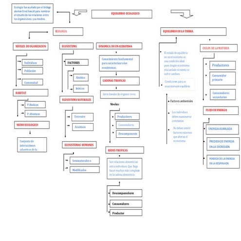 Equilibrio ecológico mapa conceptual