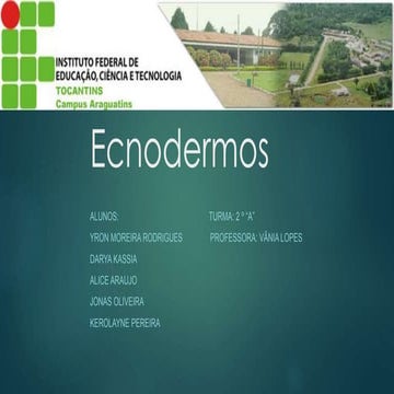 Biologia - Equinodermos