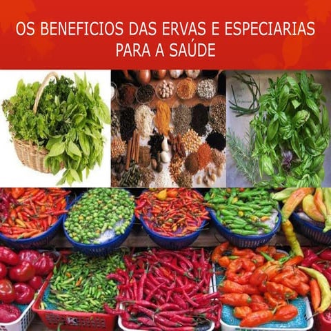 Ervas e especiarias