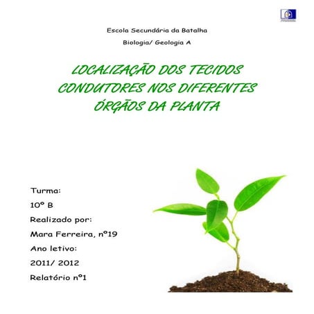 LOCALIZAÇÃO DOS TECIDOS CONDUTORES NOS DIFERENTES ÓRGÃOS DA PLANTA