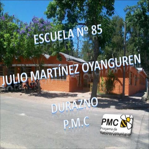Escuela 85 pmc
