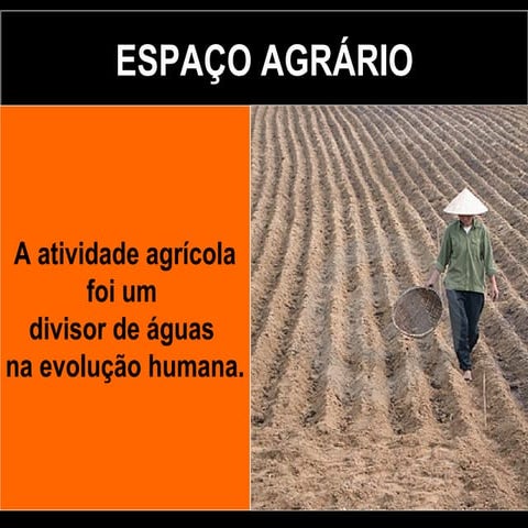 Espaço agrário