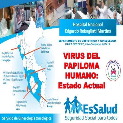 VPH: Estado Actual   -  Dr. Mario J. Gamarra Paredes