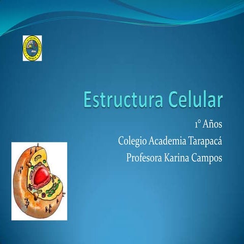 Estructura celular