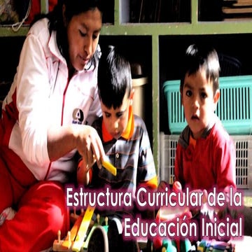 ESTRUCTURA CURRICULAR DE LA EDUCACION INICIAL
