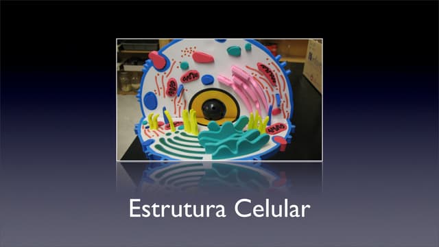 Estrutura celular