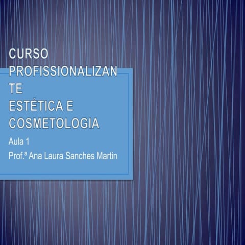 Estética aula 1