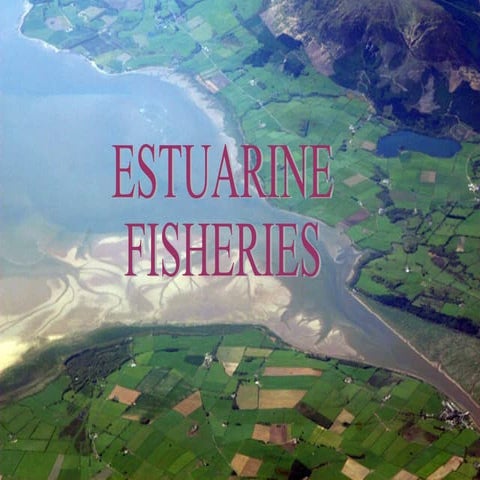 Estuarine fisheries   n.a.k.
