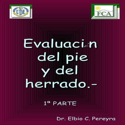 Evaluación del pie (clase 11 y  12)