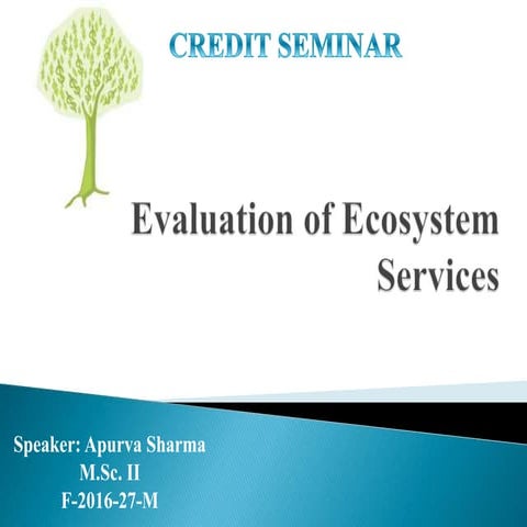 Evaluation of ecosystem services