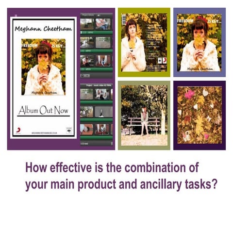 Evaluation Q2 - How effective is the combination of your main product and anc...