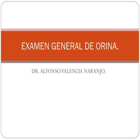Examen general de orina 