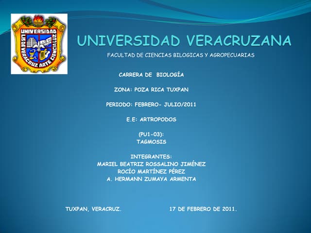 Exoesqueleto en los artropodos