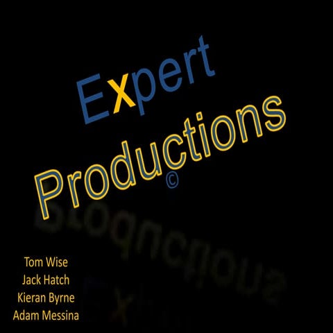 Expert productions
