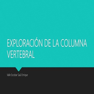 Exploración de columna