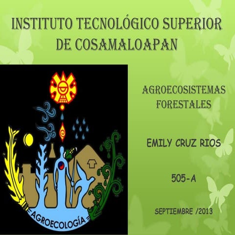 AGROECOSISTEMAS FORESTALES