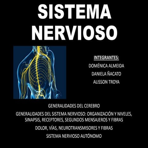 Fisiología del sistema nervioso