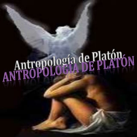 Expo platon